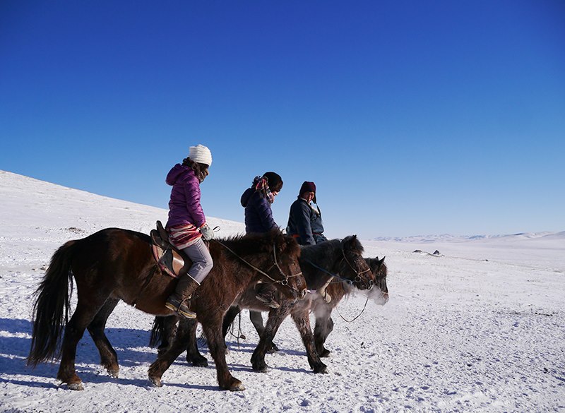 冬毛を生やした馬に跨り、雪原を往く