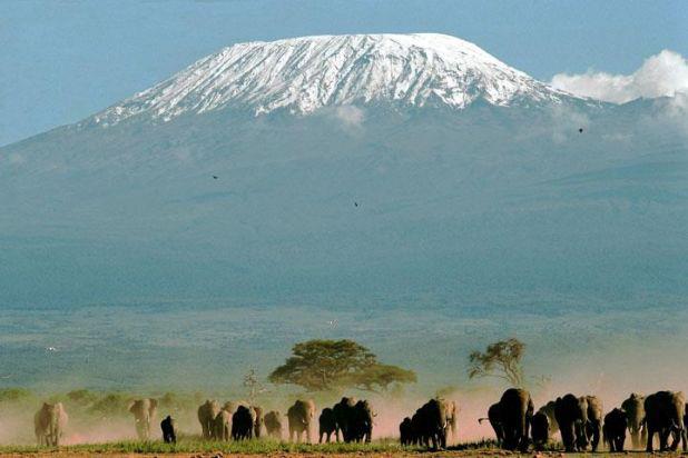 東アフリカのケニア・アンボセリ国立公園 | たびせん.com