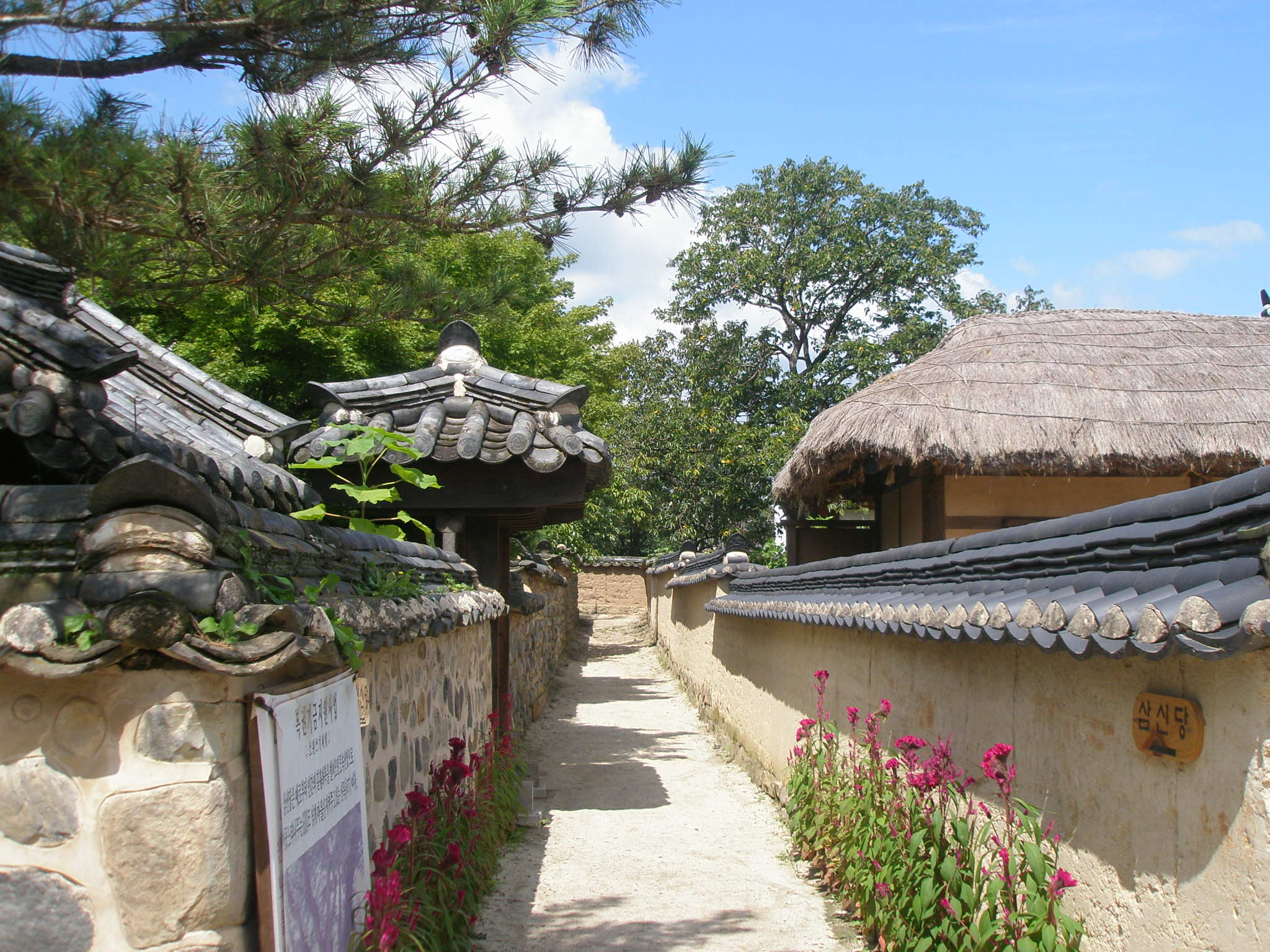 朝鮮王朝時代が今も残る街・安東と河回村