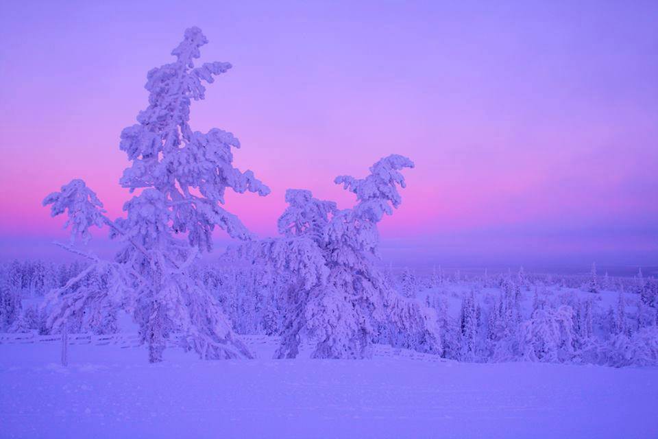 雪景色