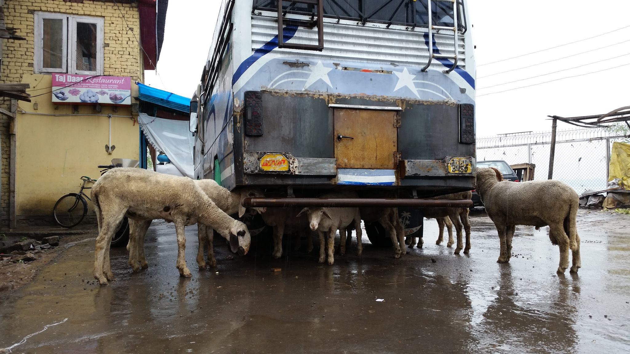 インドの雨