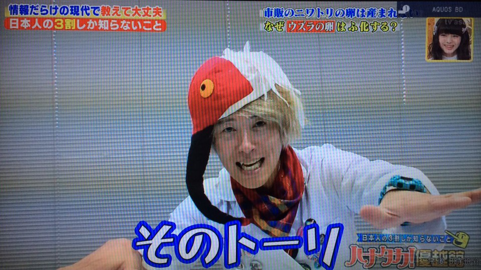 鳥くん 今週のぐるナイに登場 たびせん Com 鳥くん 今週のぐるナイに登場 たびせん Com