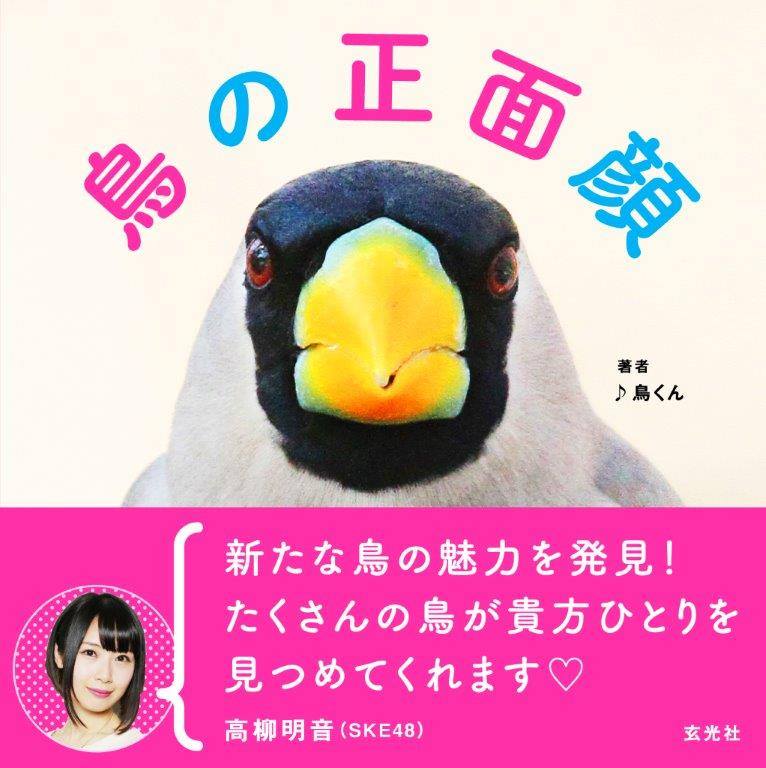 鳥の正面顔