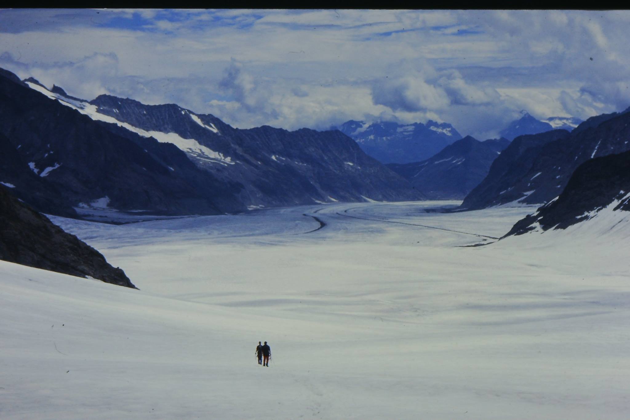 ヨーロッパアルプス最大！歩ける氷河『アレッチ氷河』 | たびせん.com