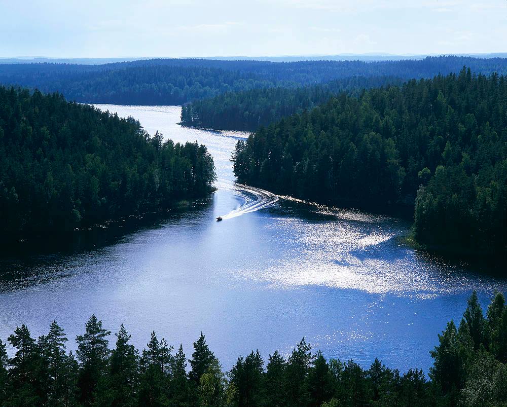フィンランドの森『ヌークシオ国立公園』にて夏限定♪日本語ガイド付きツアー催行開始